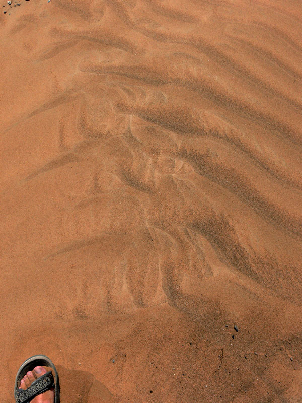 M_P1010774