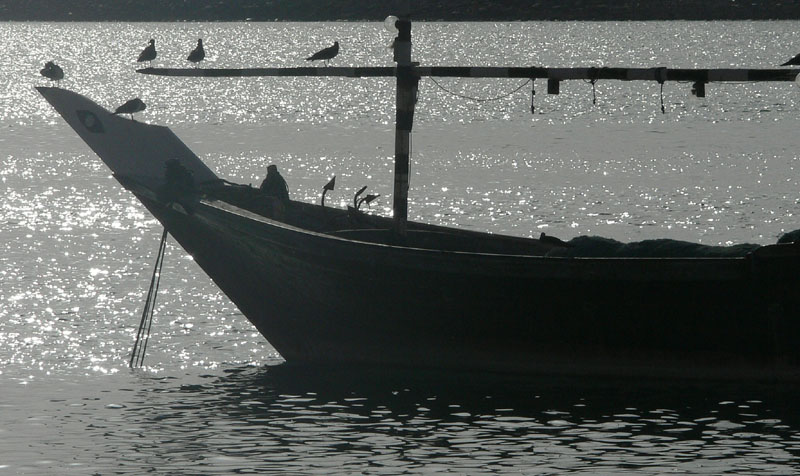 P1010802