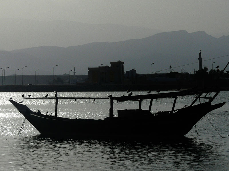 P1010803