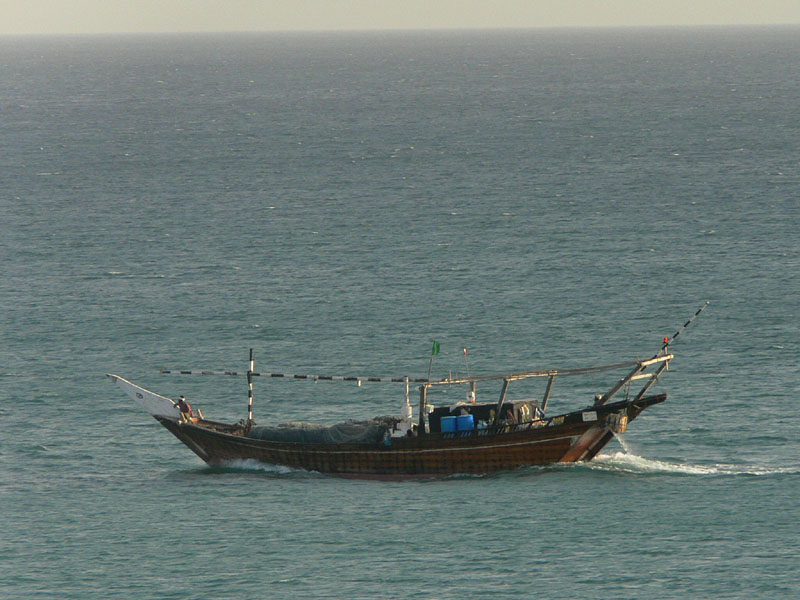 D_P1020069