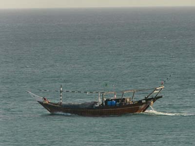 D_P1020069