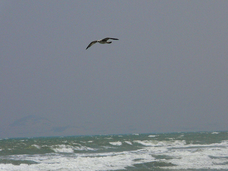 I_P1020042