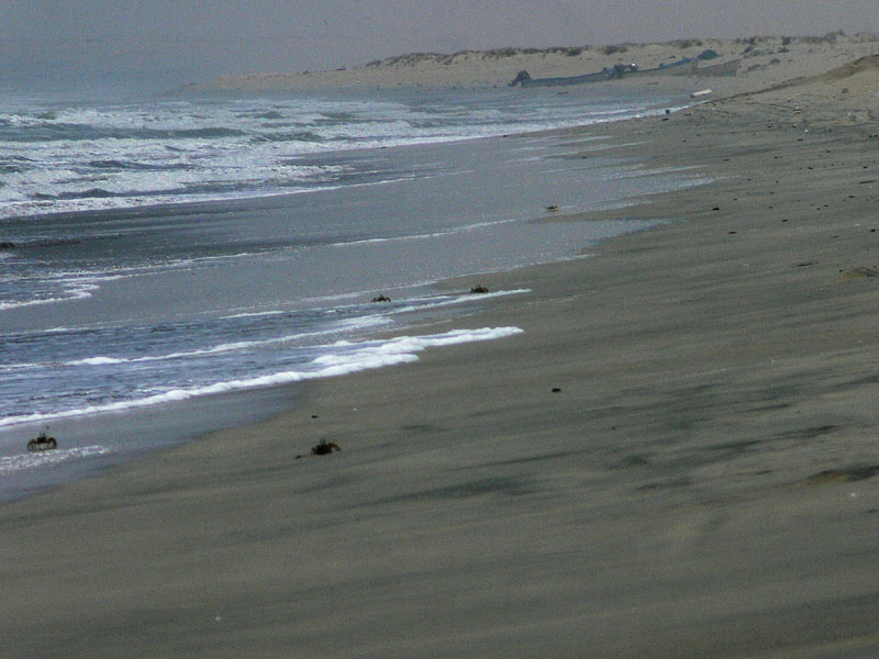 J_P1020043