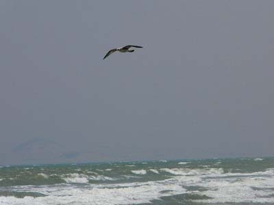 I_P1020042