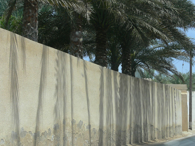 I_P1010968