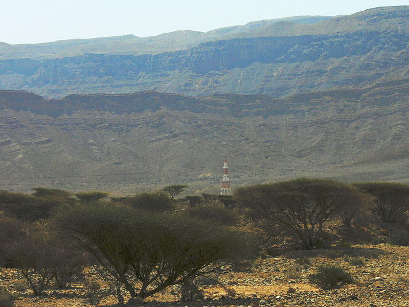 P1010951