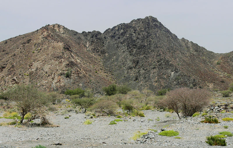 P1020084