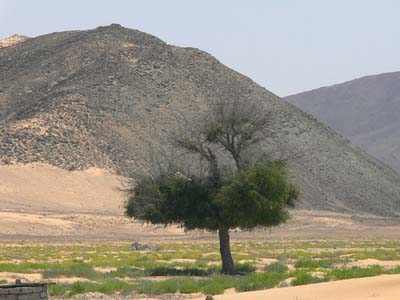 P1020056