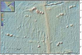 NEPR_Clipperton1g