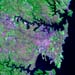 Sydney_080801