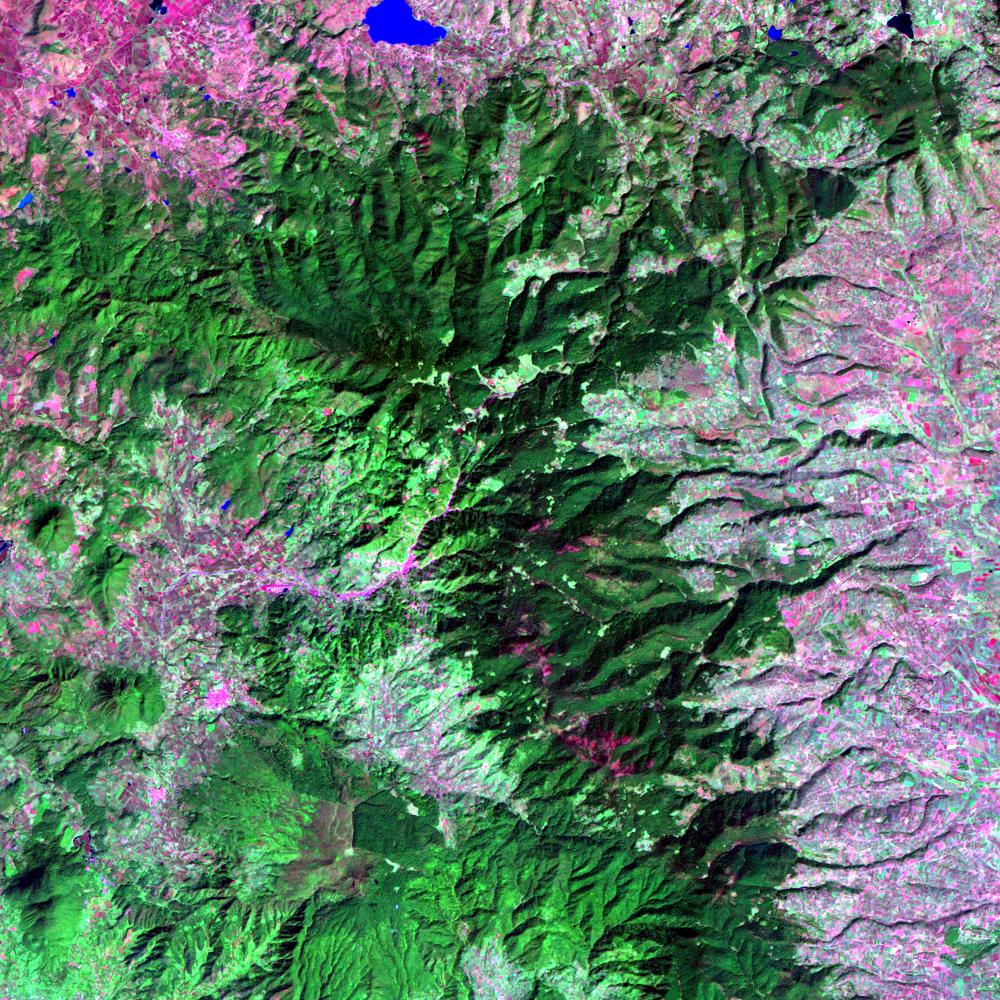 L5027046_20001030Anangueo