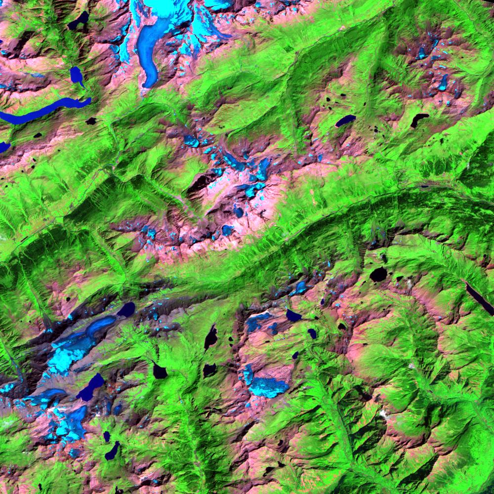 L5195028_20030813Aletsch