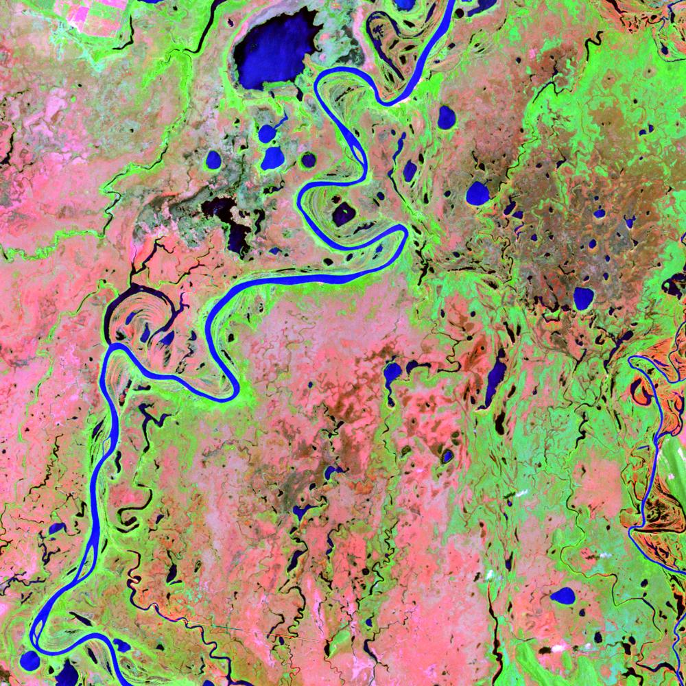 L5227073_20111022Pantanal