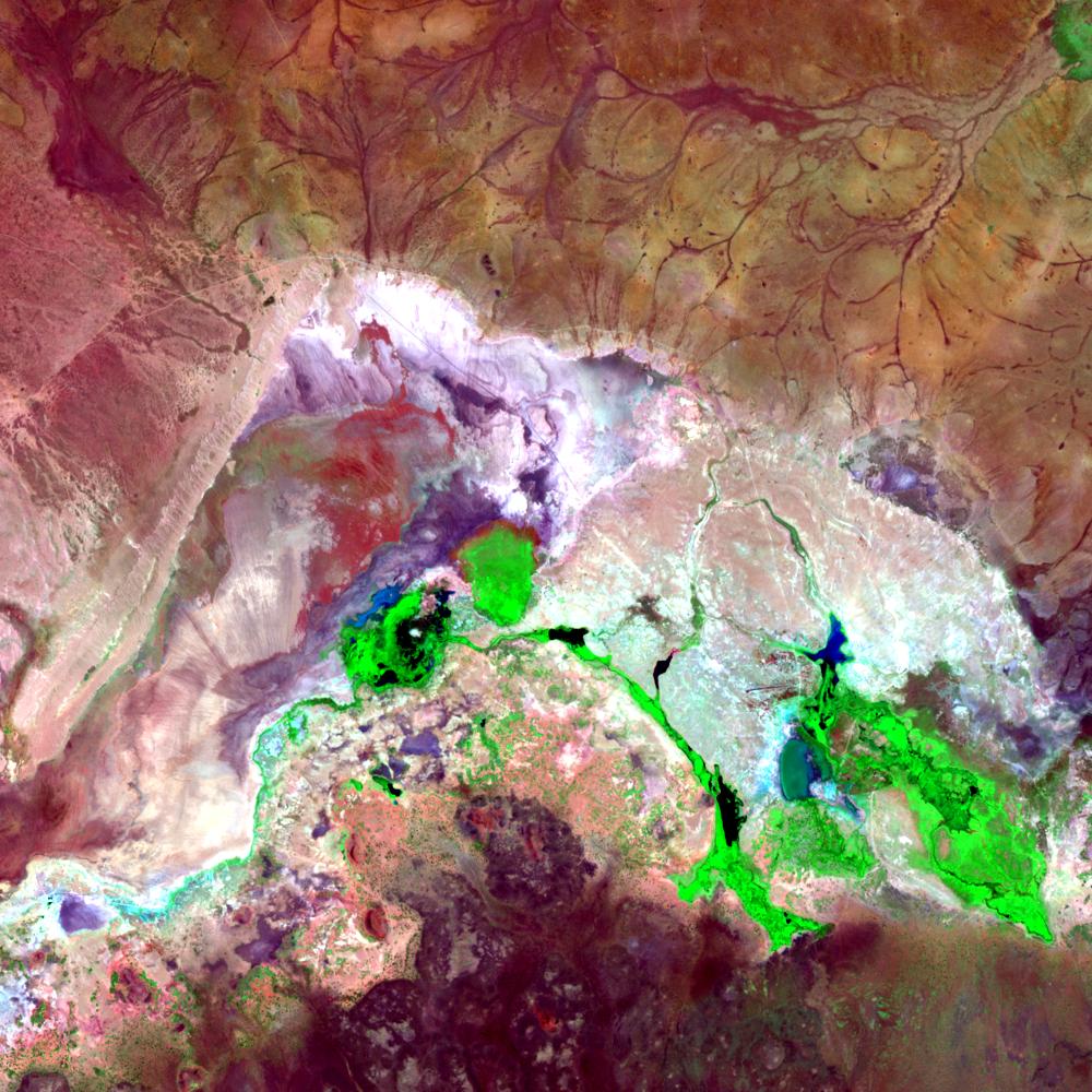 L71168062_20000221Anboseli
