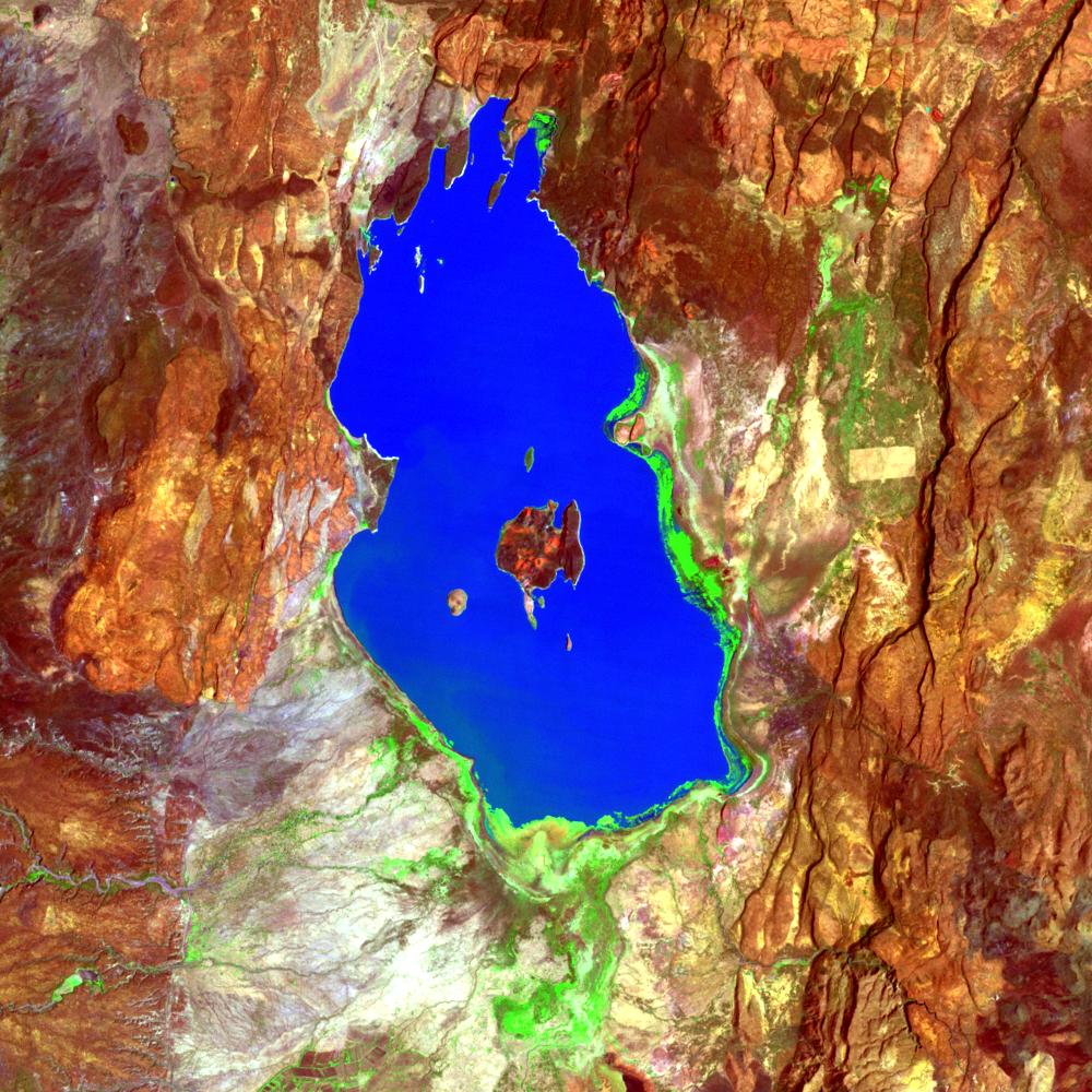 L71169060_20000212Baringo