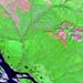 L71125015_19990715LenaRiver