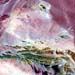 L71134031_20000614Gobi