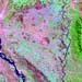 L71167072_20020729Mutarara