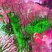 L71169060_20000212Volcanics