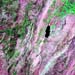 L71174037_20000622AlBiqa