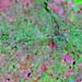 L71226086_20030118Pampa