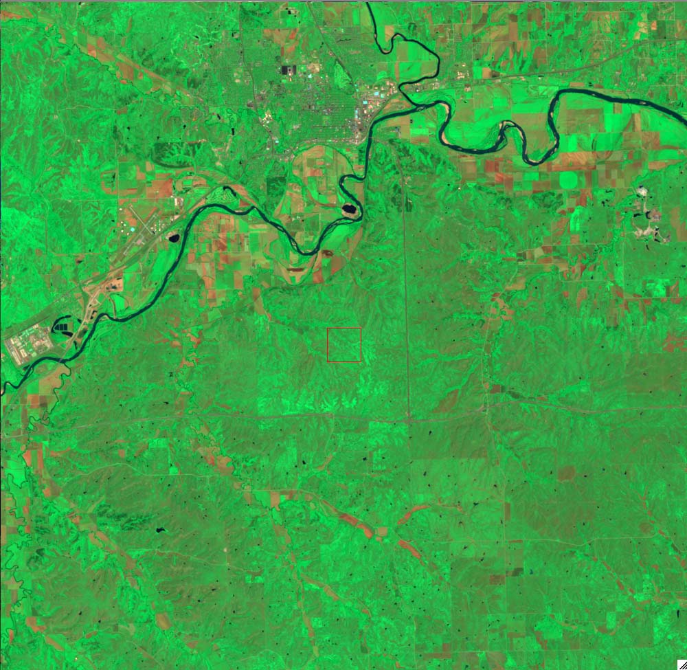 L5028033_20110630Konza