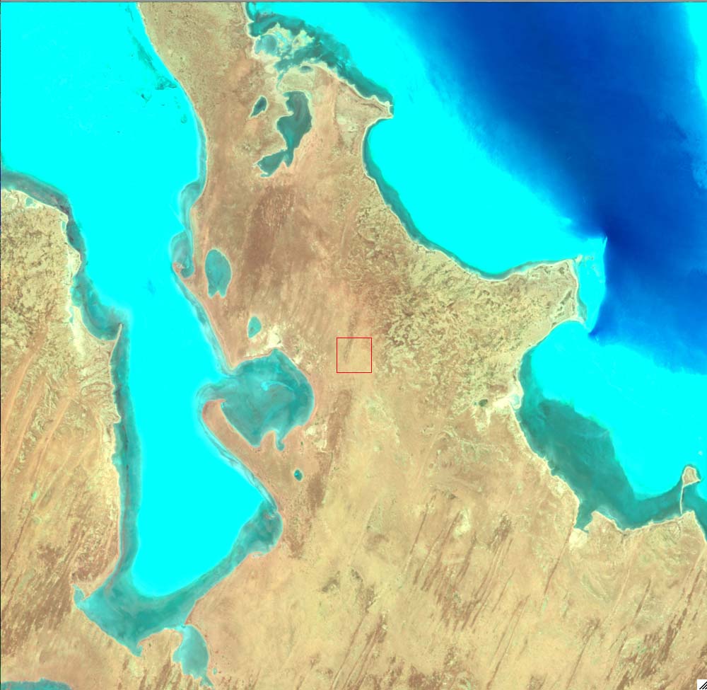 L5099080_20110123LakeEyre