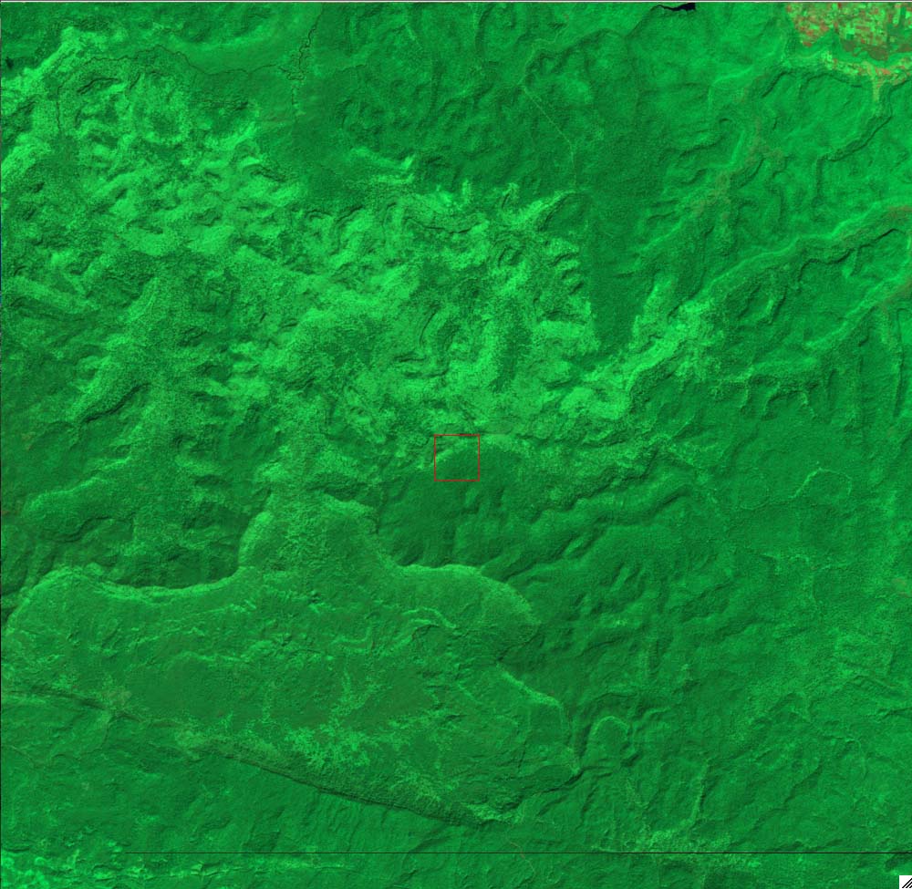 L5128050_20091128PangSida