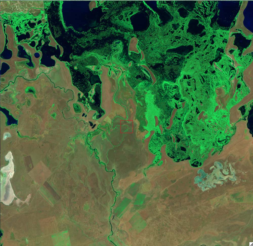 L5156025_19870816LakeTengiz
