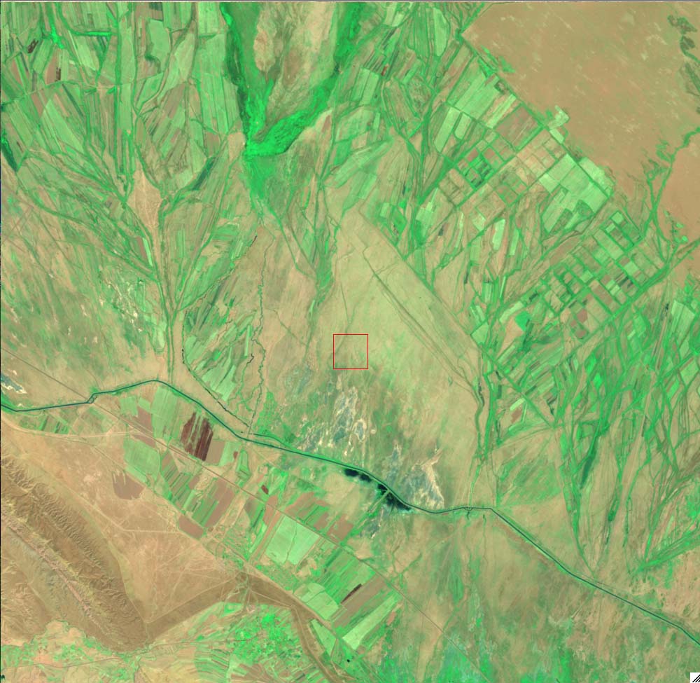 L5159034_20090716Karakum