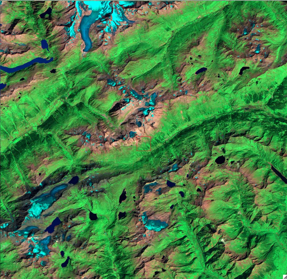 L5195028_20030813Aletsch