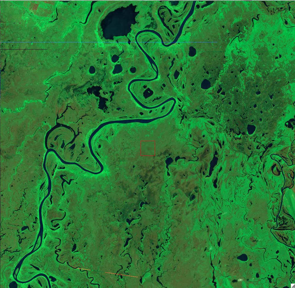 L5227073_20111022Pantanal