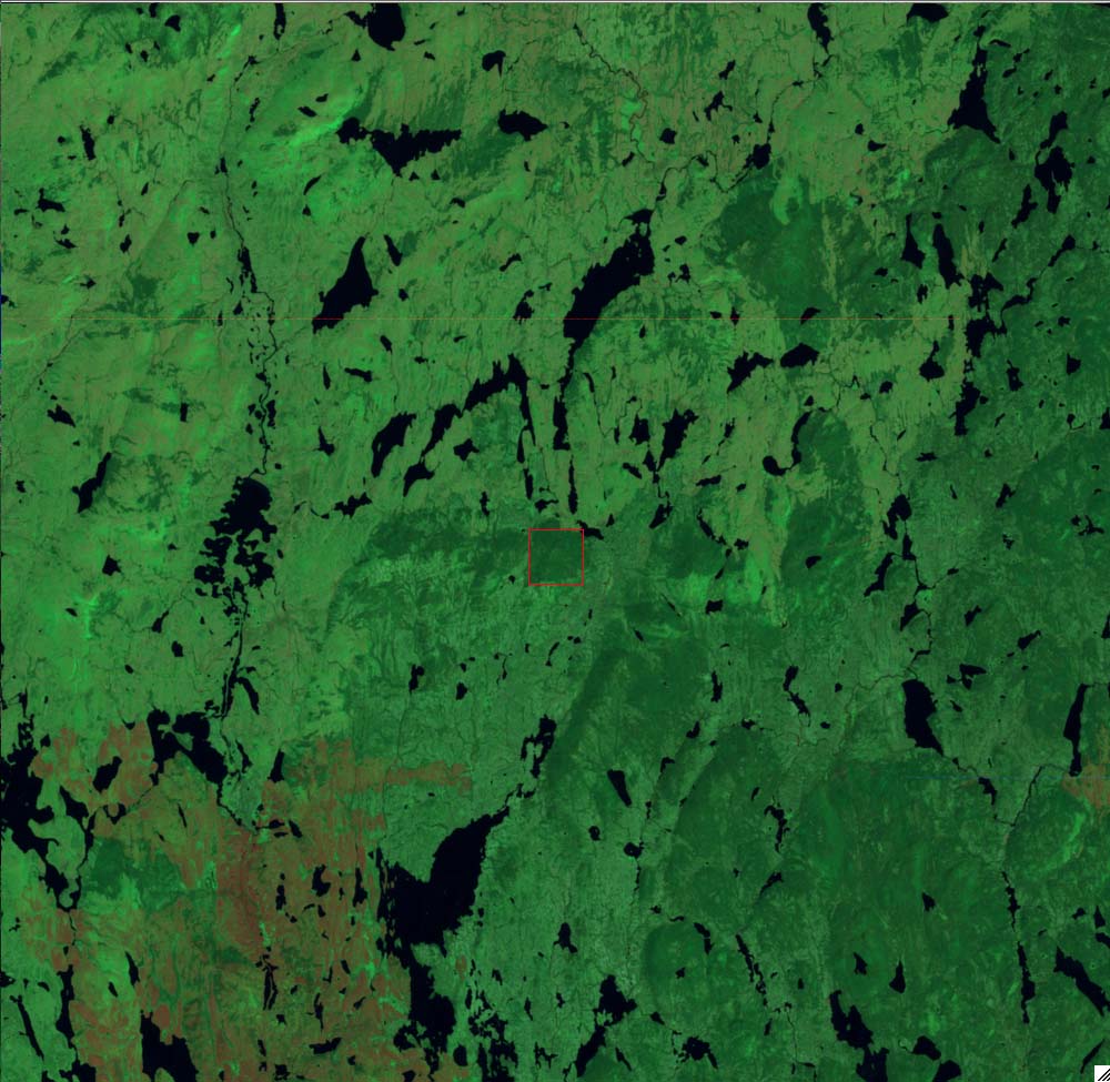 L71013024_20010601Craton