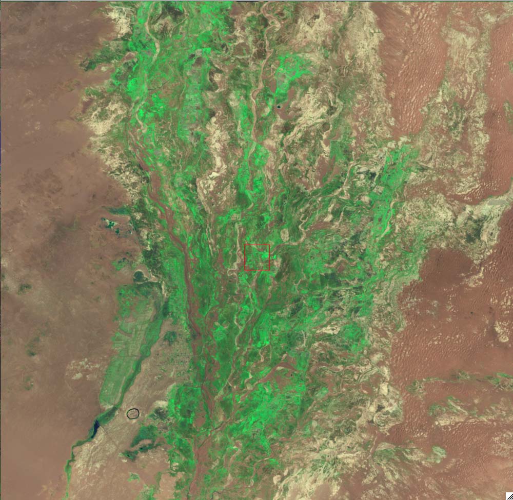 L71134031_20000614Ejina