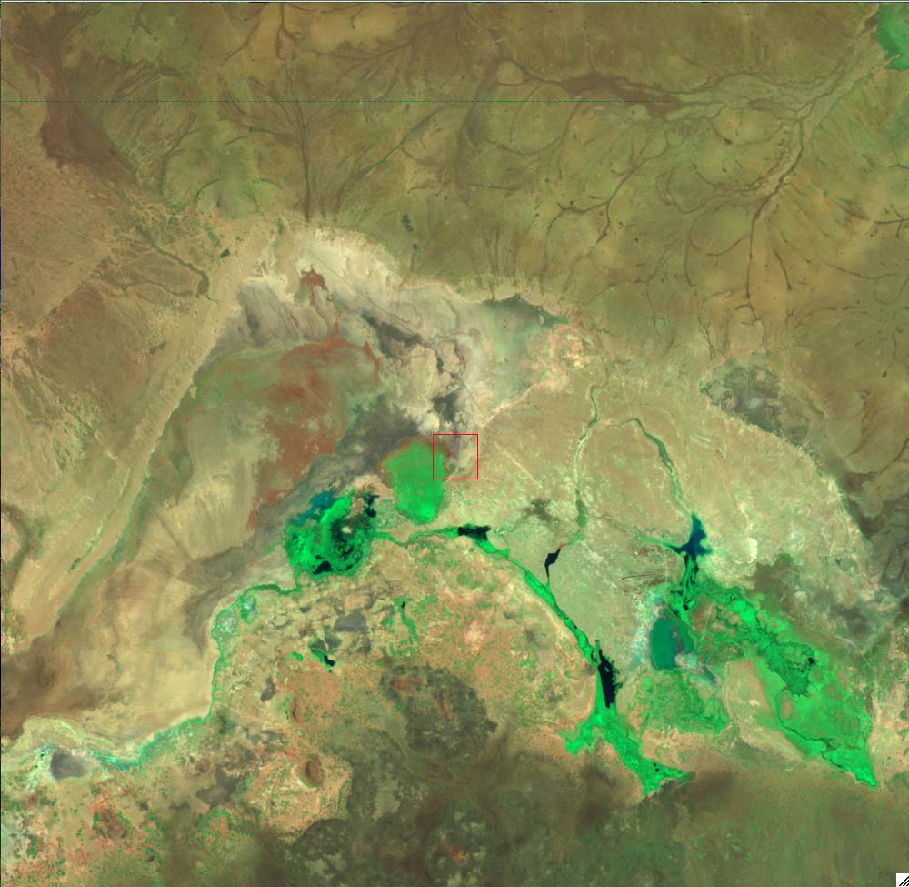 L71168062_20000221Anboseli