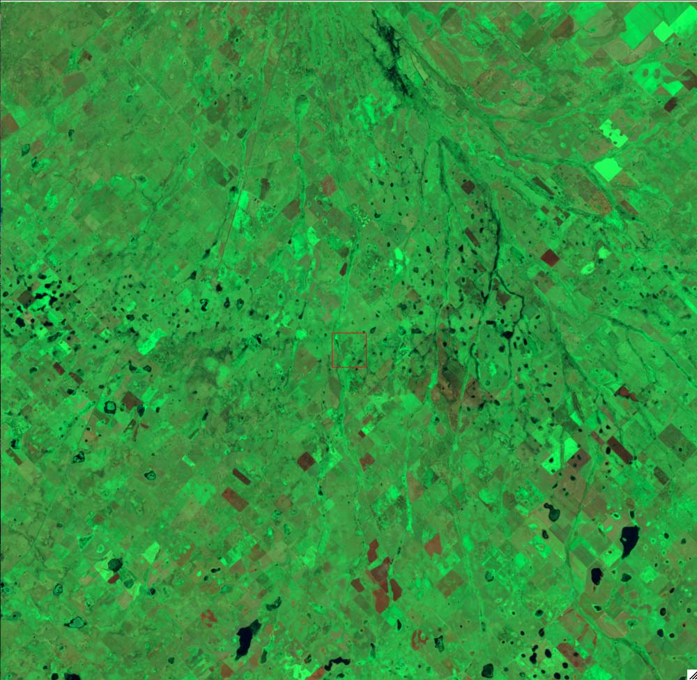 L71226086_20030118Pampa