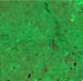 L71226086_20030118Pampa