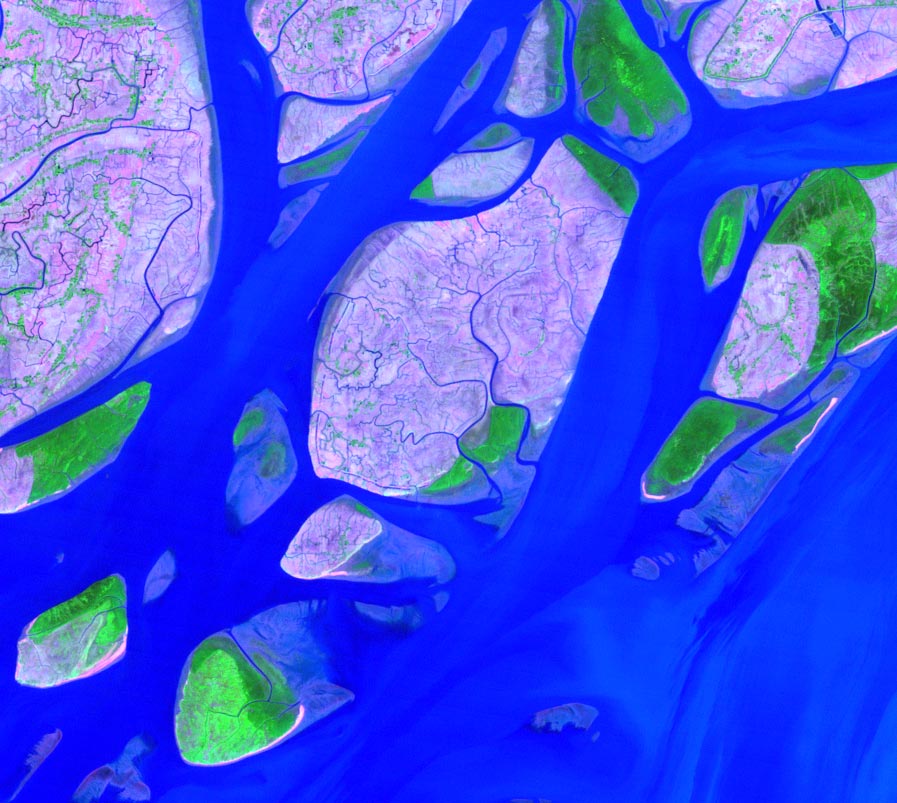 15_Mouth0_012889b742