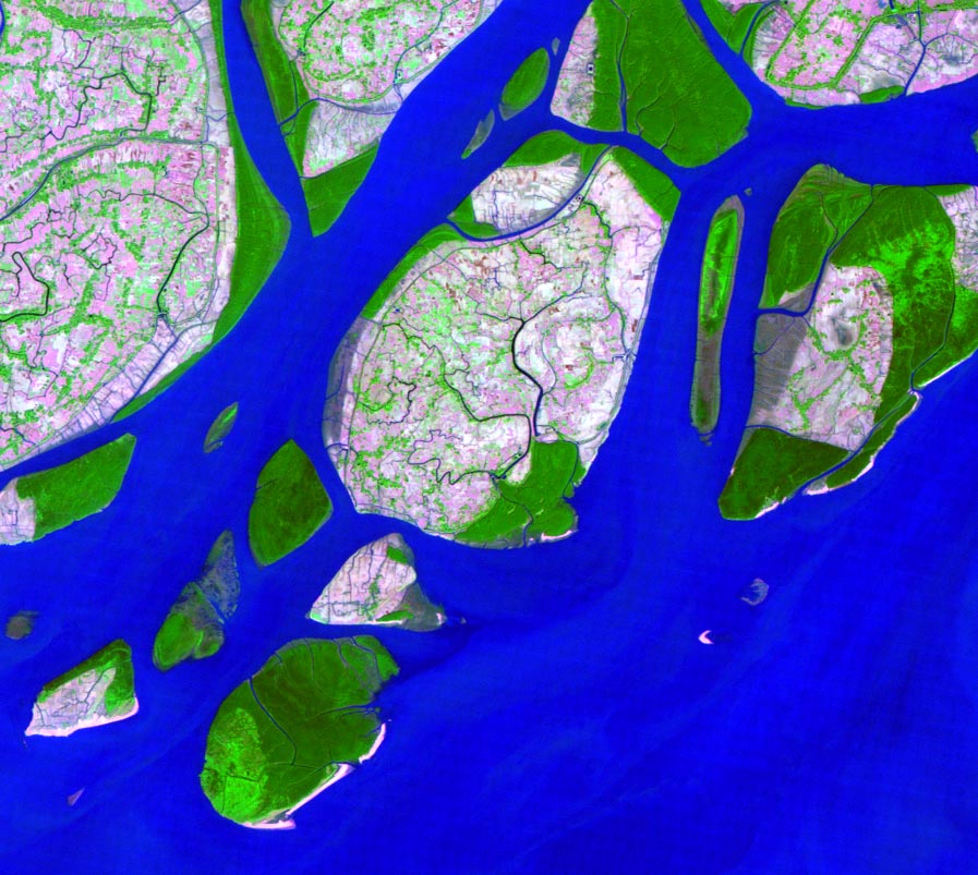 15_Mouth0_013010b742