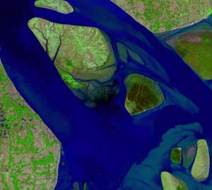 13_Lower0_012889b742