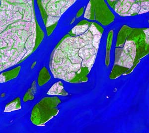 15_Mouth0_013010b742