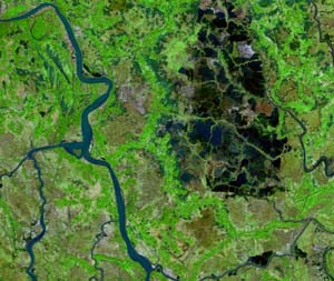 23_Ponds0_012889b742