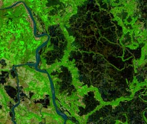 23_Ponds0_013010b742