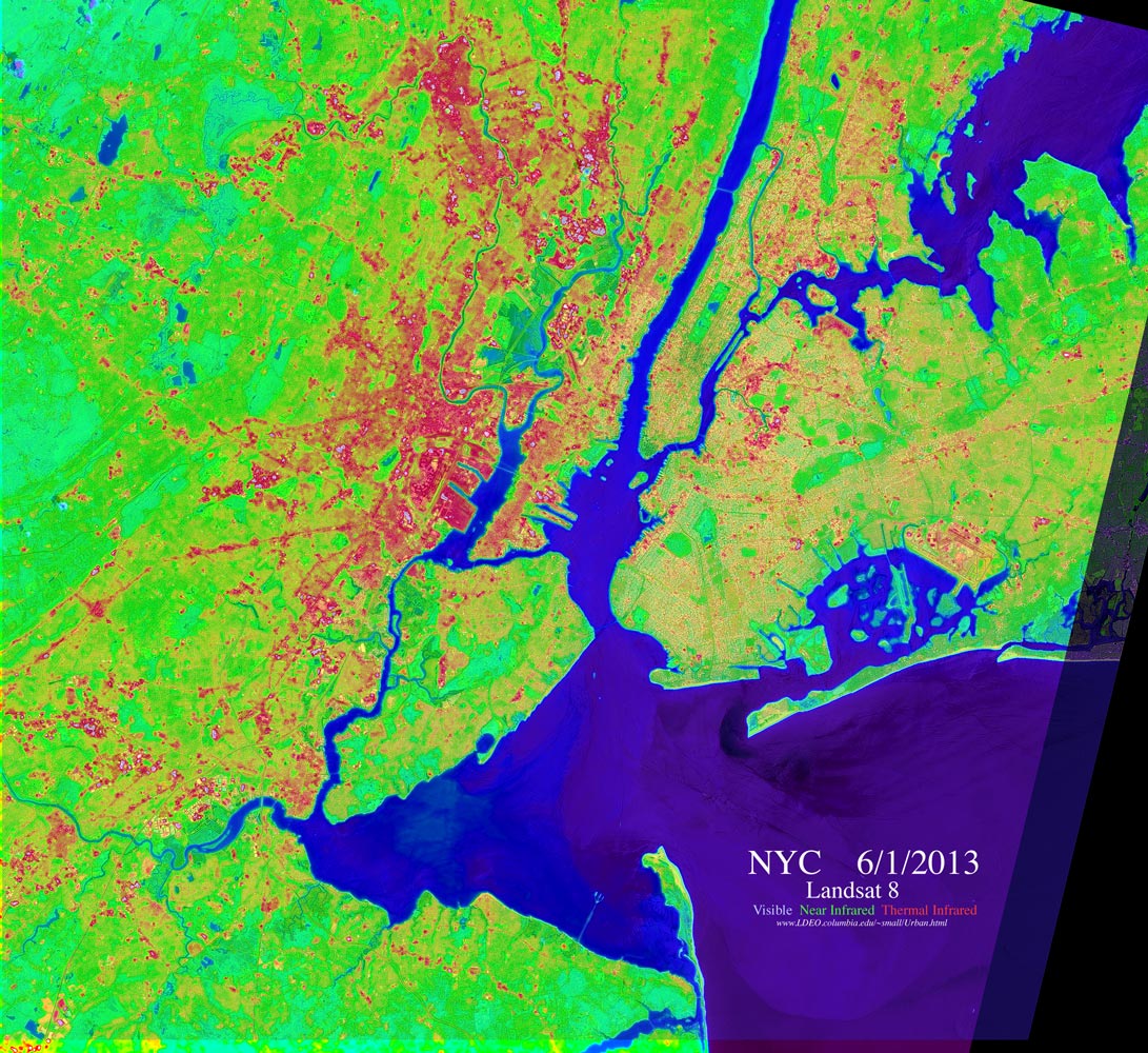_dNYC